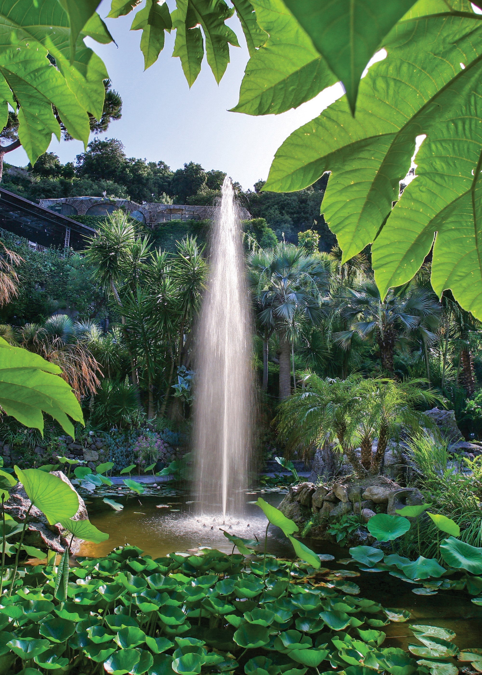 Six botanical gardens for enthusiasts and those with inquisitive