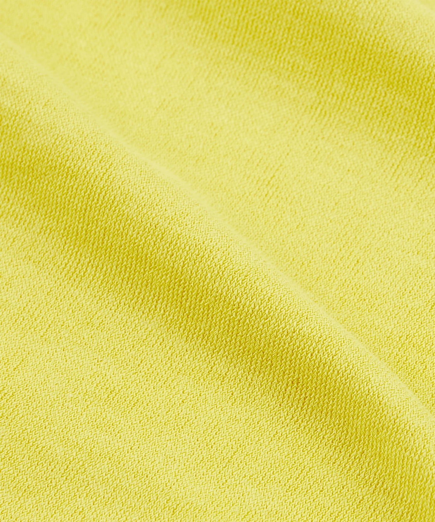 オーガニックアイスコットン・スリムフィットTシャツ