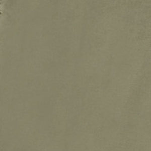 ダーク・グリーン