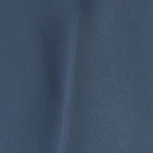 アヴィ・ブルー