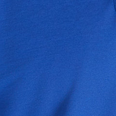 ロイヤル・ブルー