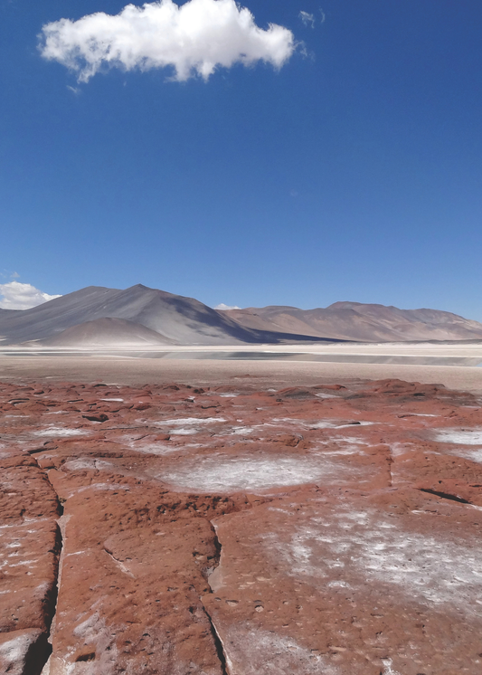 Between clear skies and salt flats: the wild heart of the Atacama Desert