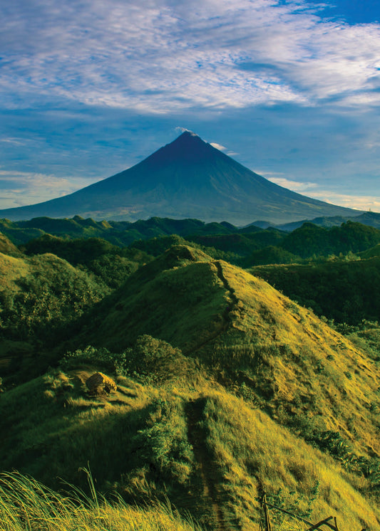 The love of life, the importance of plants