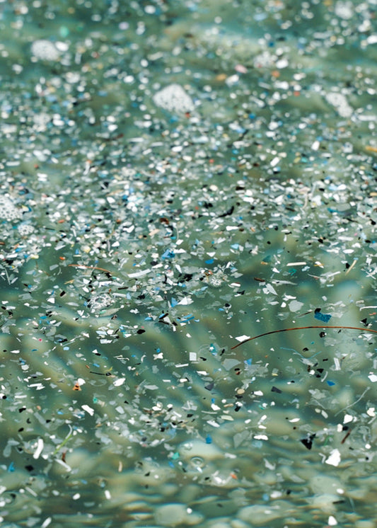 Plastic-free world tour