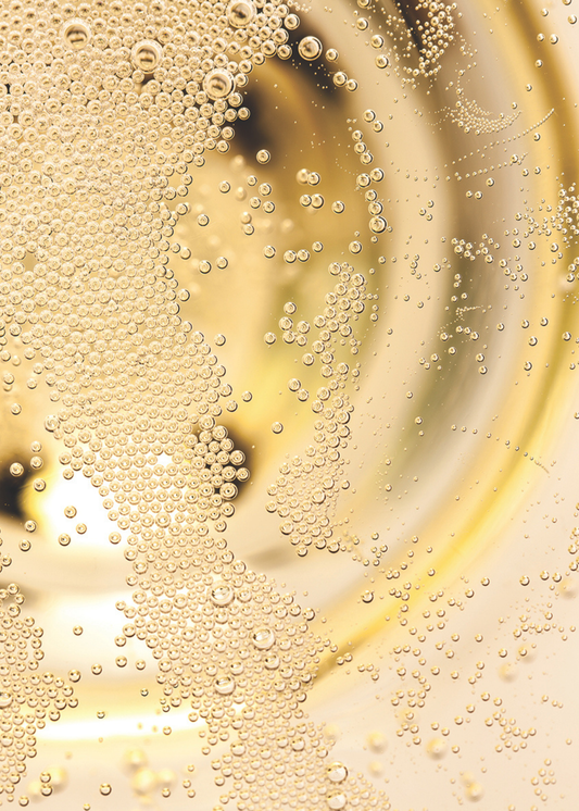 Wine tasting for dummies