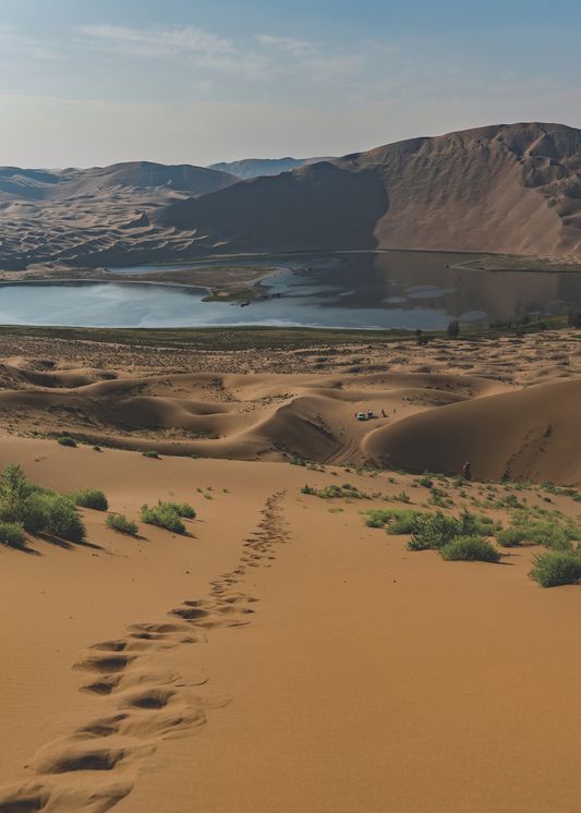 A self-enriching world