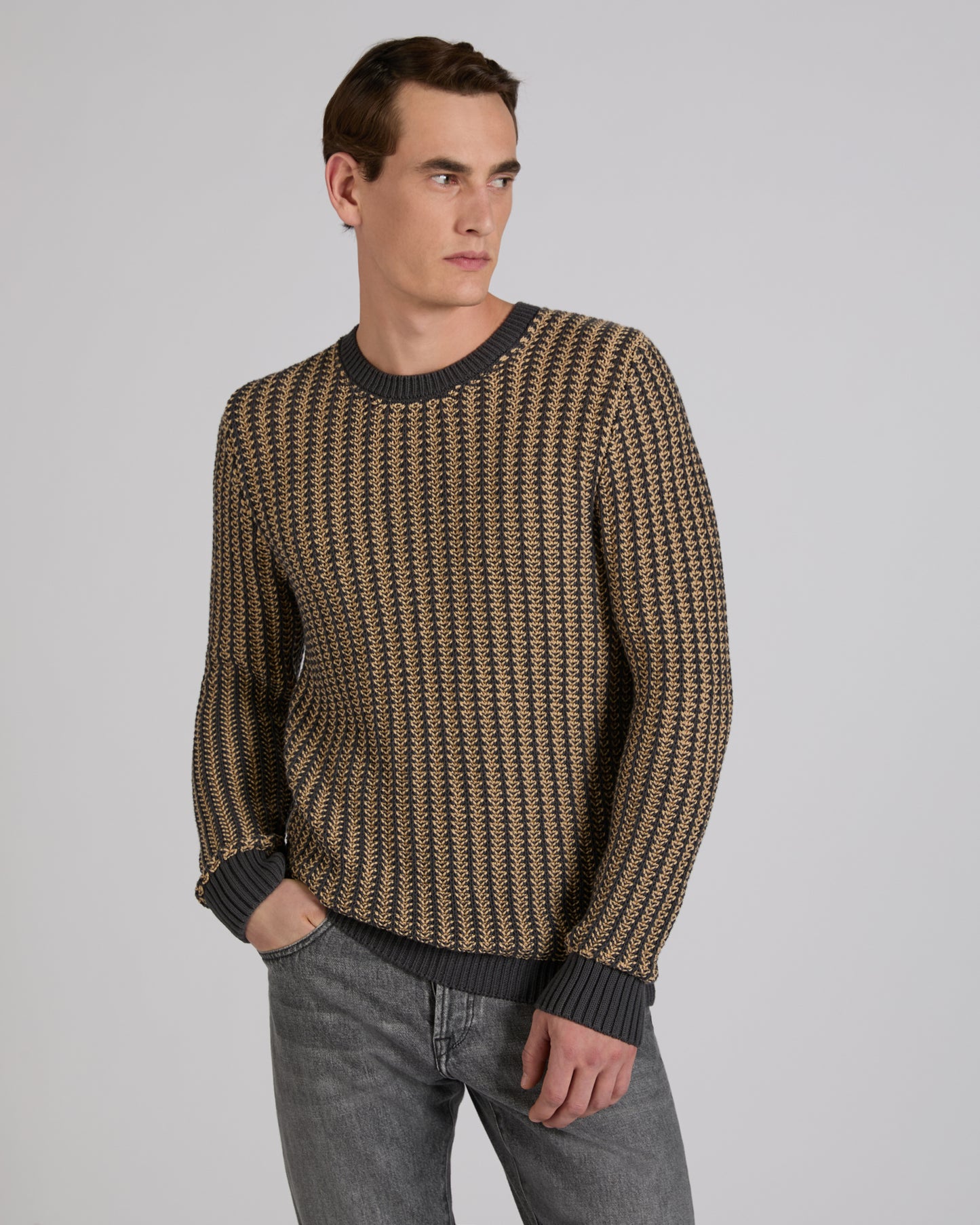 Slim fit cotton crew-neck jumper