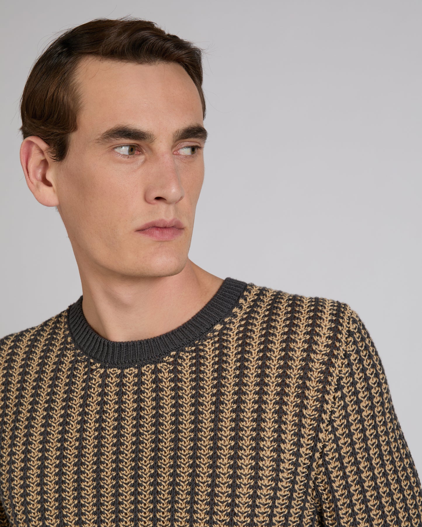 Slim fit cotton crew-neck jumper